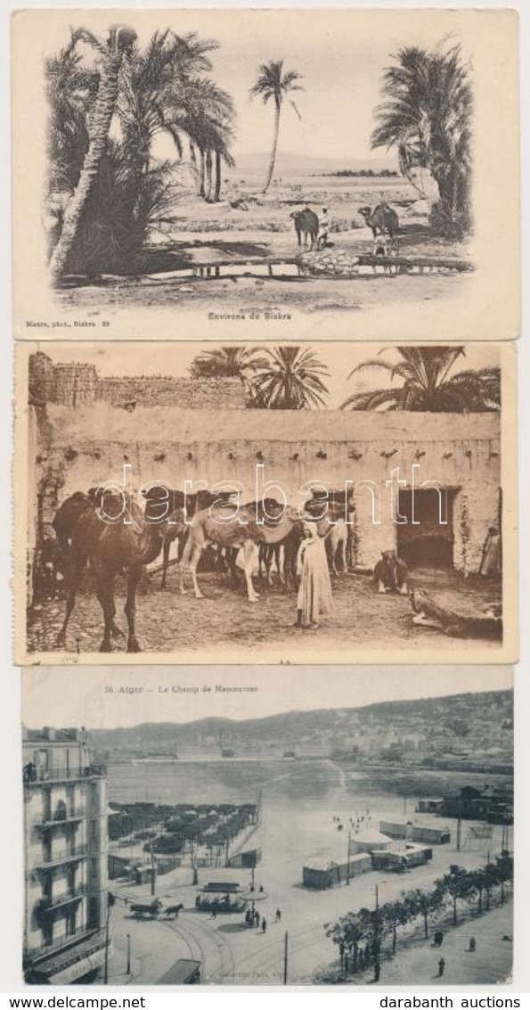 ** 5 Db RÉGI Algériai Városképes Lap / 5 Pre-1945 Algerian Town-view Postcards - Non Classés