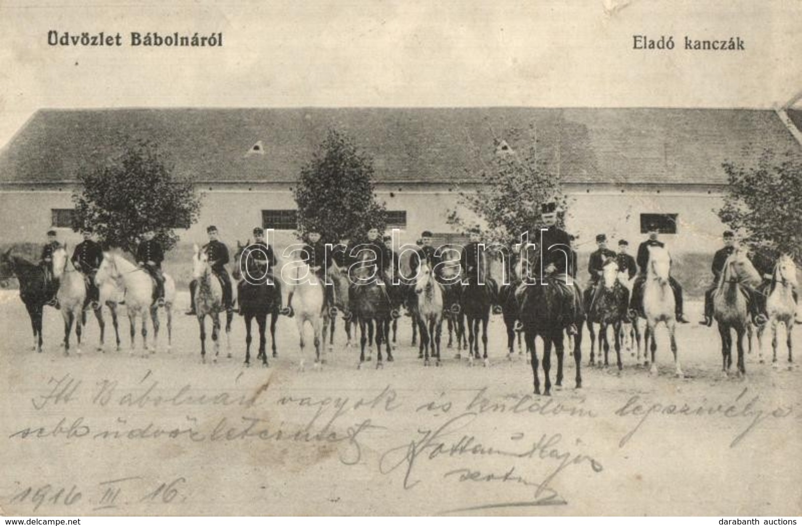 T3 1916 Bábolna, Eladó Kancák, Méntelep. Kiadja Fischer Gyula (fa) - Ohne Zuordnung