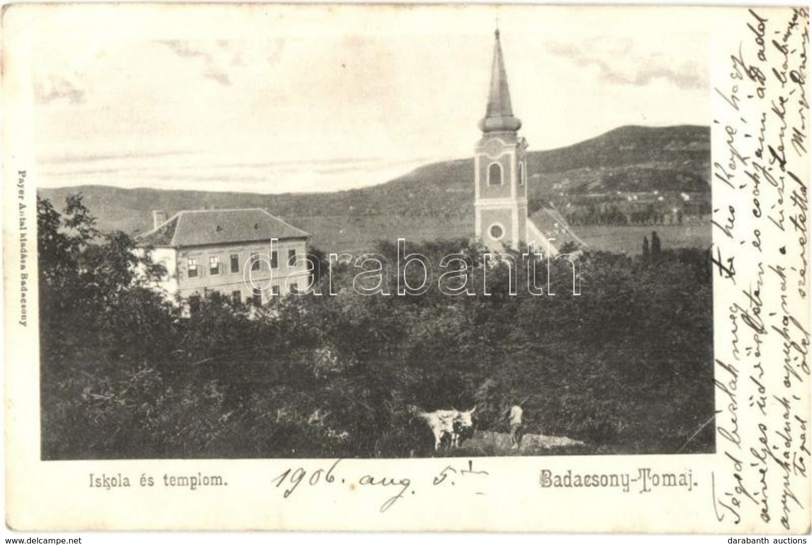 T2/T3 1906 Badacsonytomaj, Iskola és Templom, Szürkemarhák. Kiadja Payer Antal (EK) - Unclassified