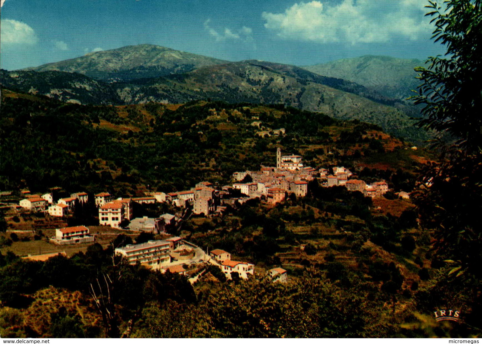 20 - VICO - Vue Générale - Autres & Non Classés