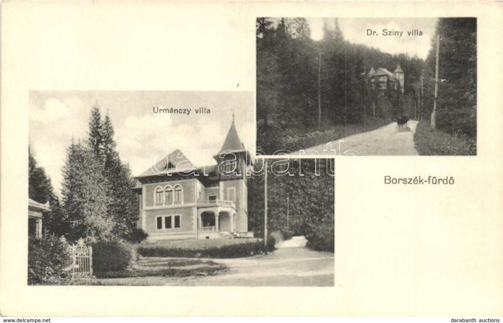 ** T2 Borszék-fürdő, Borsec; Urmánczy Villa, Dr. Szini Villa / Villas - Unclassified