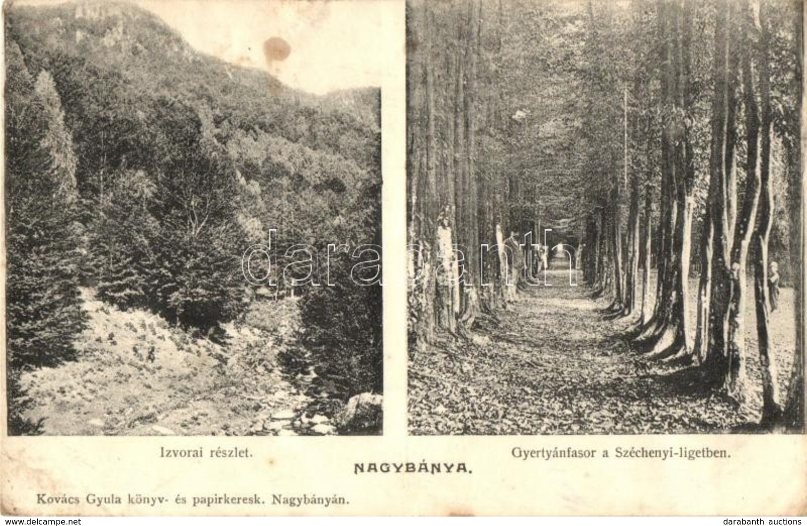 ** T2/T3 Nagybánya, Baia Mare; Izvorai Részlet, Gyertyánfasor A Széchenyi Ligetben  / Forest - Unclassified