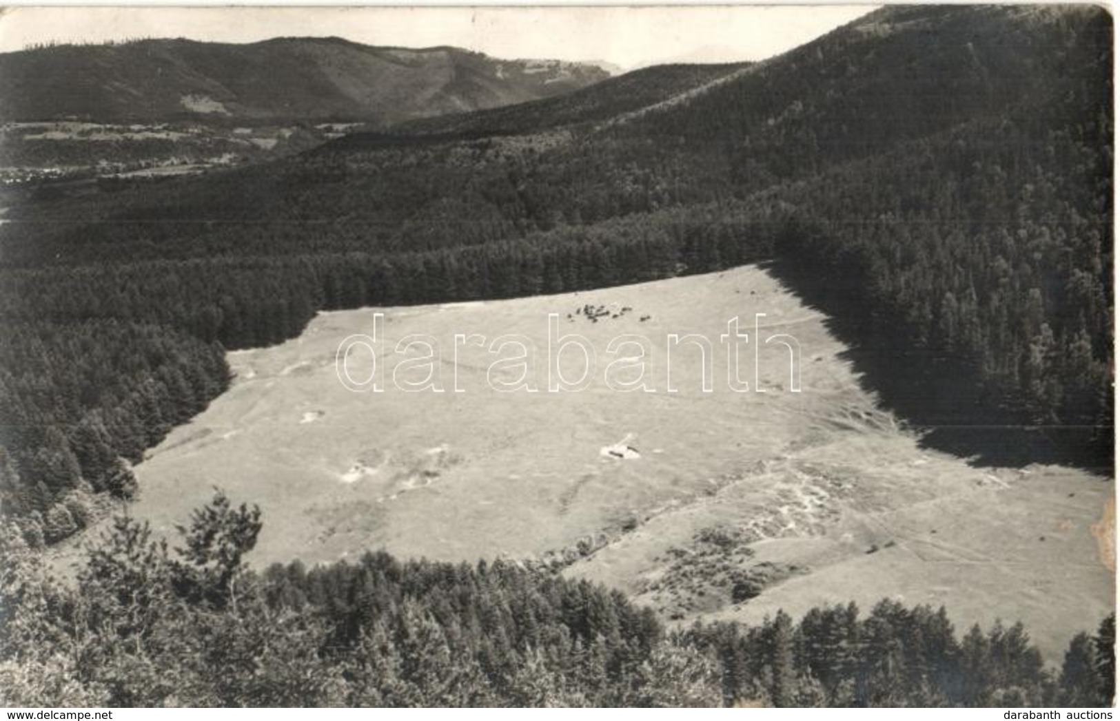 T2 1937 Négyfalu, Sacele; Poiana Angelescu / Angelescu Tisztás, Mező / Glade, Meadow. Foto Sport G. Gödri Photo - Unclassified