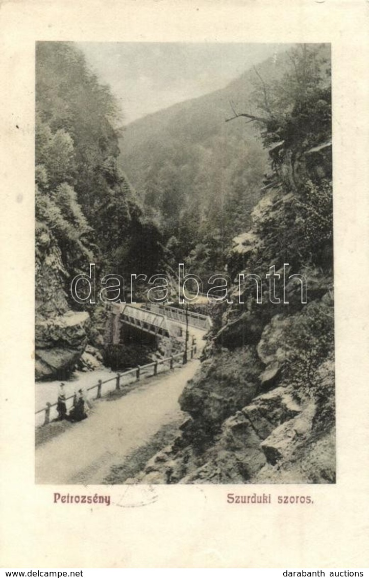 T2/T3 1910 Petrozsény, Petrosani; Szurduki Szoros / Pasul Surduc / Mountain Pass (ázott Sarok / Wet Corner) - Non Classés