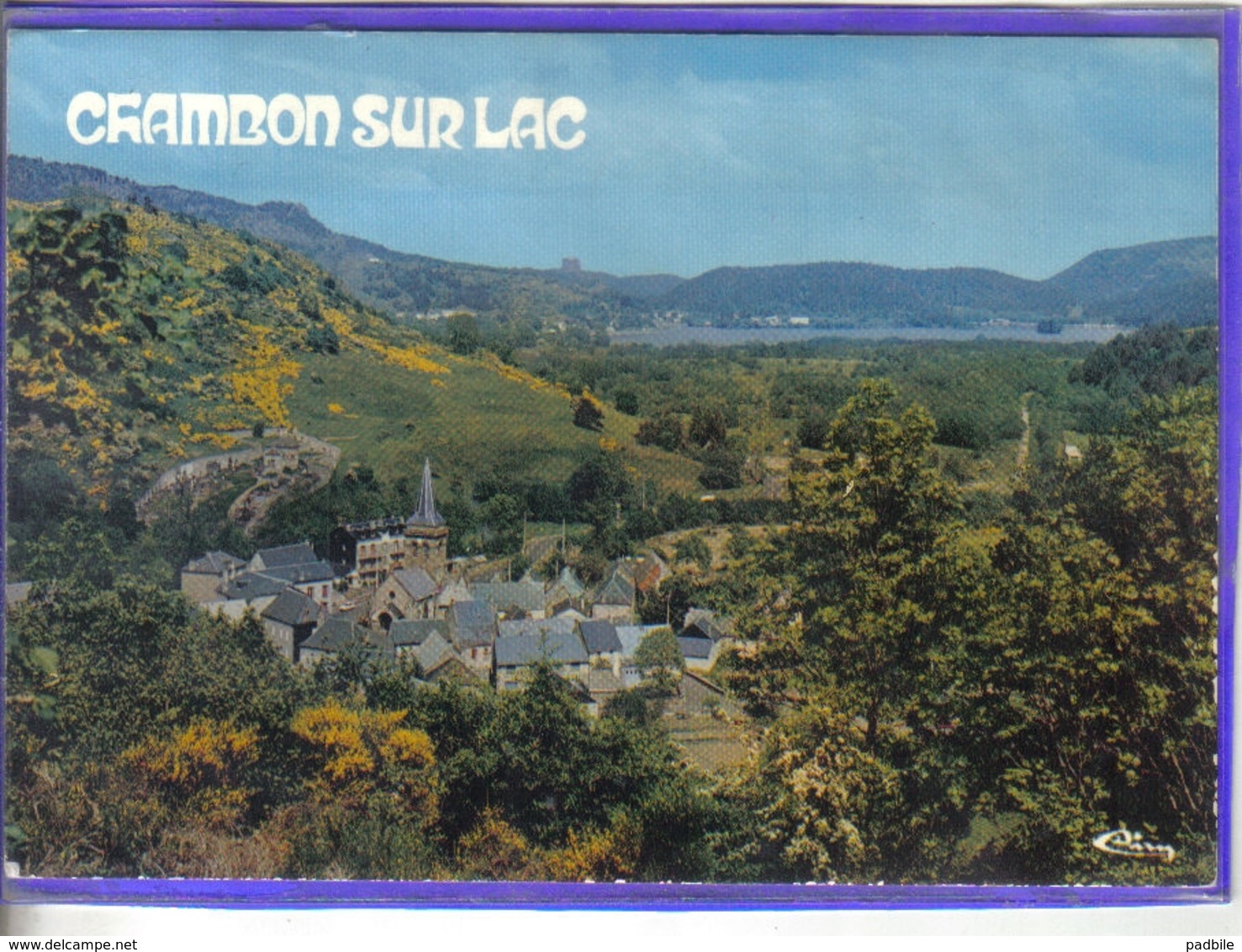 Carte Postale 63. Chambon-sur-lac    Très Beau Plan - Autres & Non Classés