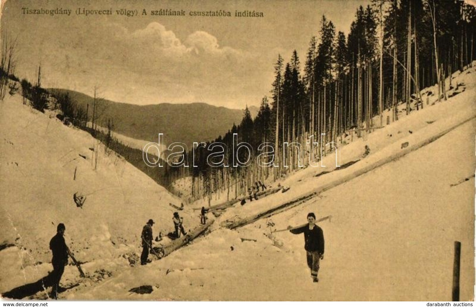 T3 Tiszabogdány, Bohdan; Lipoveczi Völgy, A Szálfának Csusztatóba Indítása / Valley, Woodcutters, Sliding Tree (EB) - Non Classés