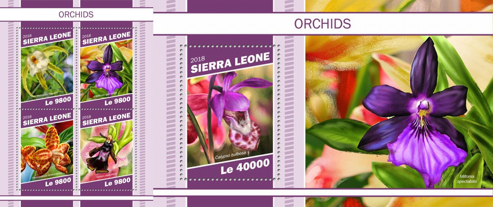 Z08 SRL181107ab Sierra Leone 2018 Orchids MNH ** Postfrisch - Sierra Leone (1961-...)