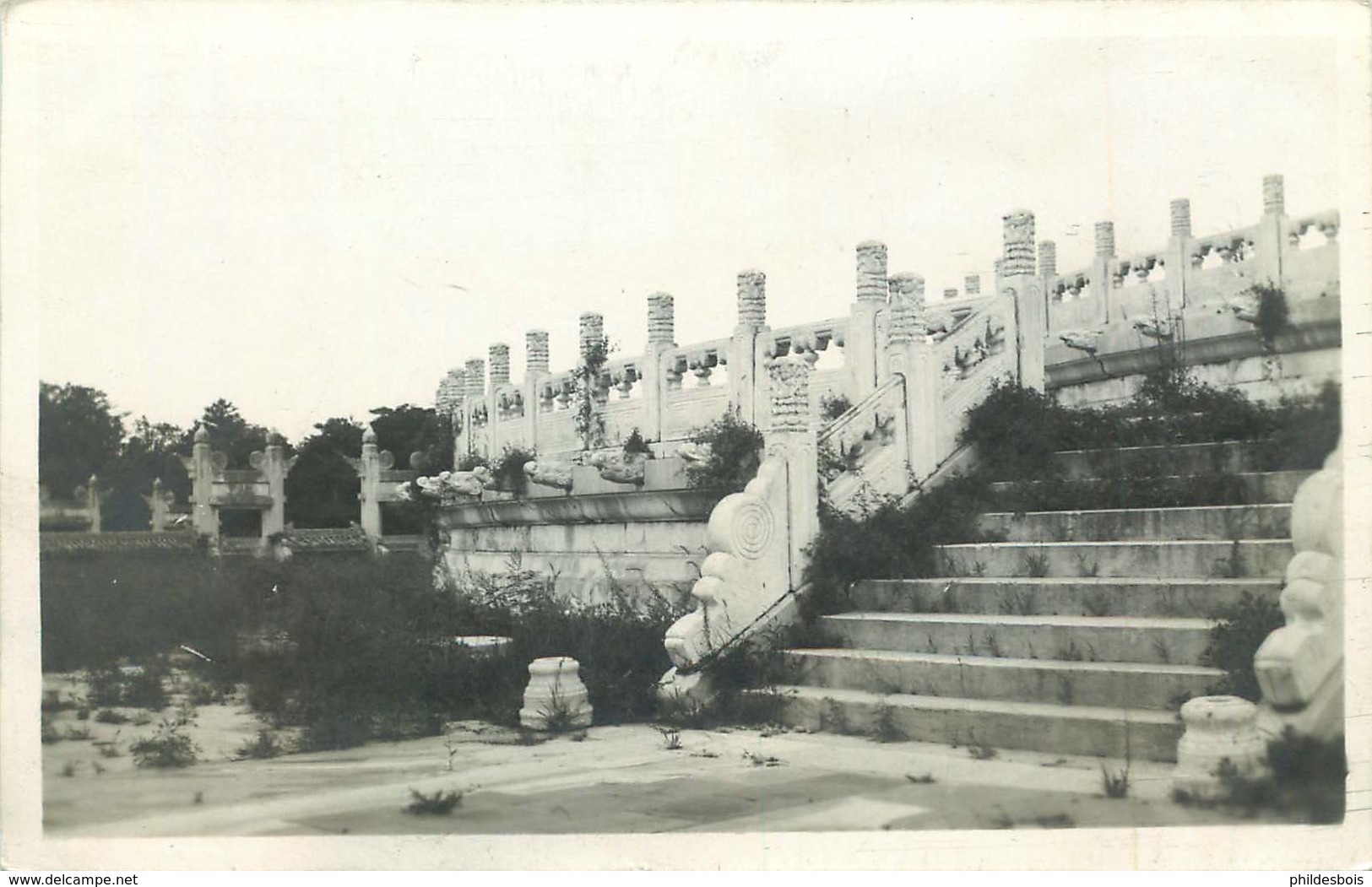 ASIE  CHINE (carte Photo Année 1930/40)  TEMPLE DU CIEL - Chine