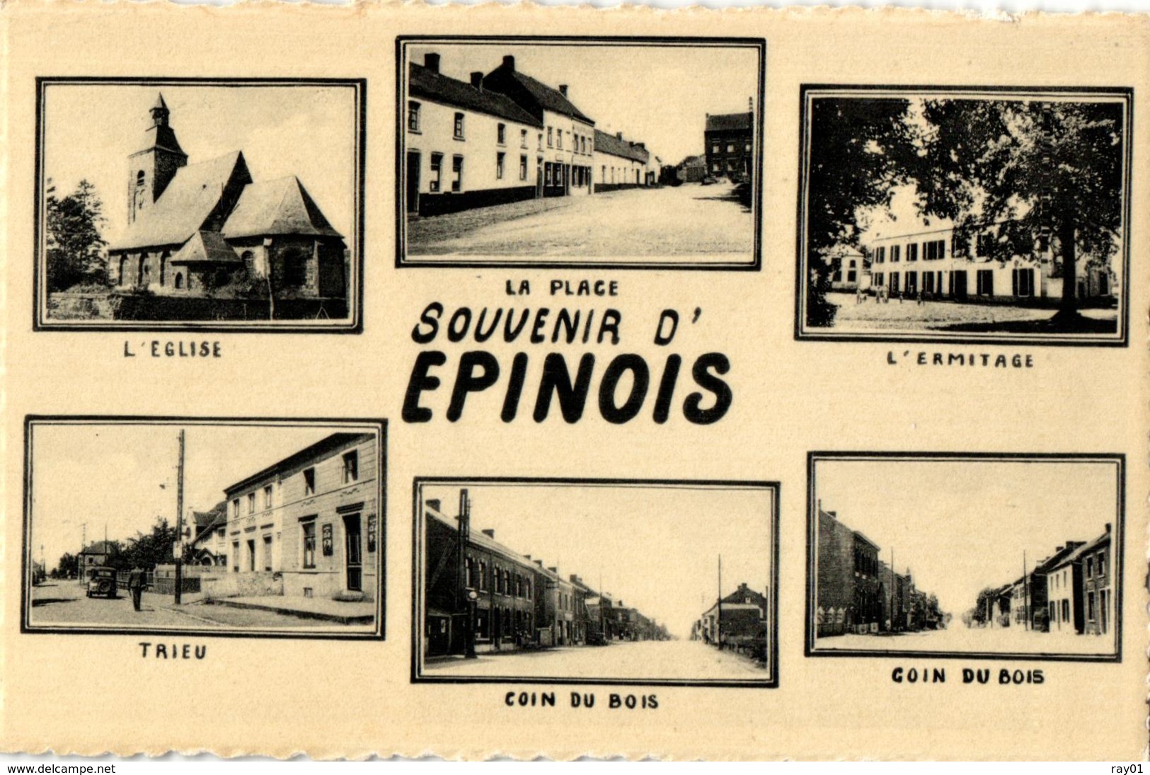 BELGIQUE - HAINAUT - BINCHE - EPINOIS - Souvenir D'Epinois (Multivues). - Binche