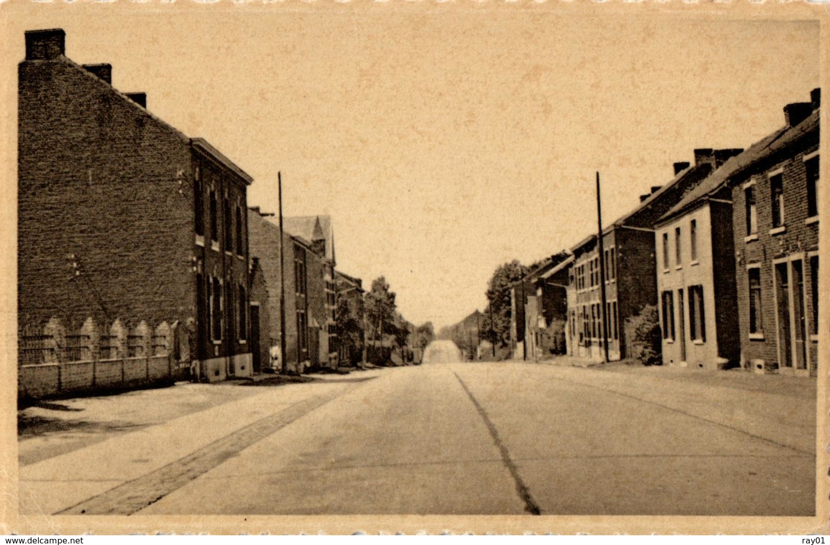 BELGIQUE - HAINAUT - BINCHE - EPINOIS - Coin Du Bois. - Binche