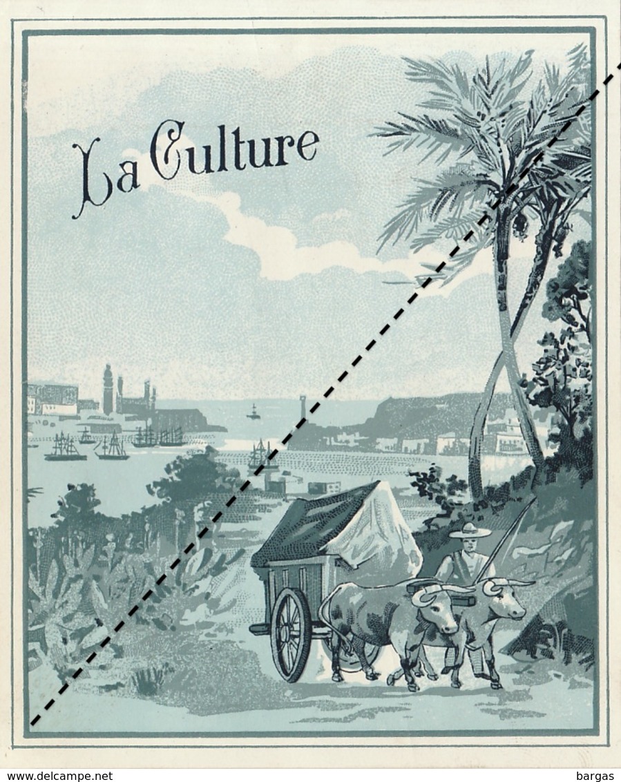 1893-1894 étiquette Boite à Cigare Havane LA CULTURE - Etichette