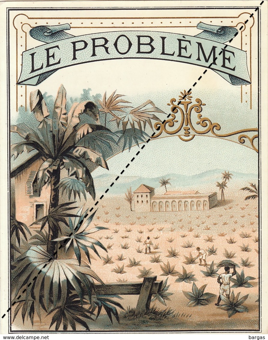 1893-1894 étiquette Boite à Cigare Havane LE PROBLEME - Etiquettes