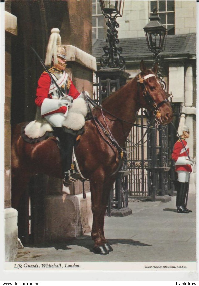 Postcard - Life Guards , Whitehall, London  - Unused Very Good - Unclassified