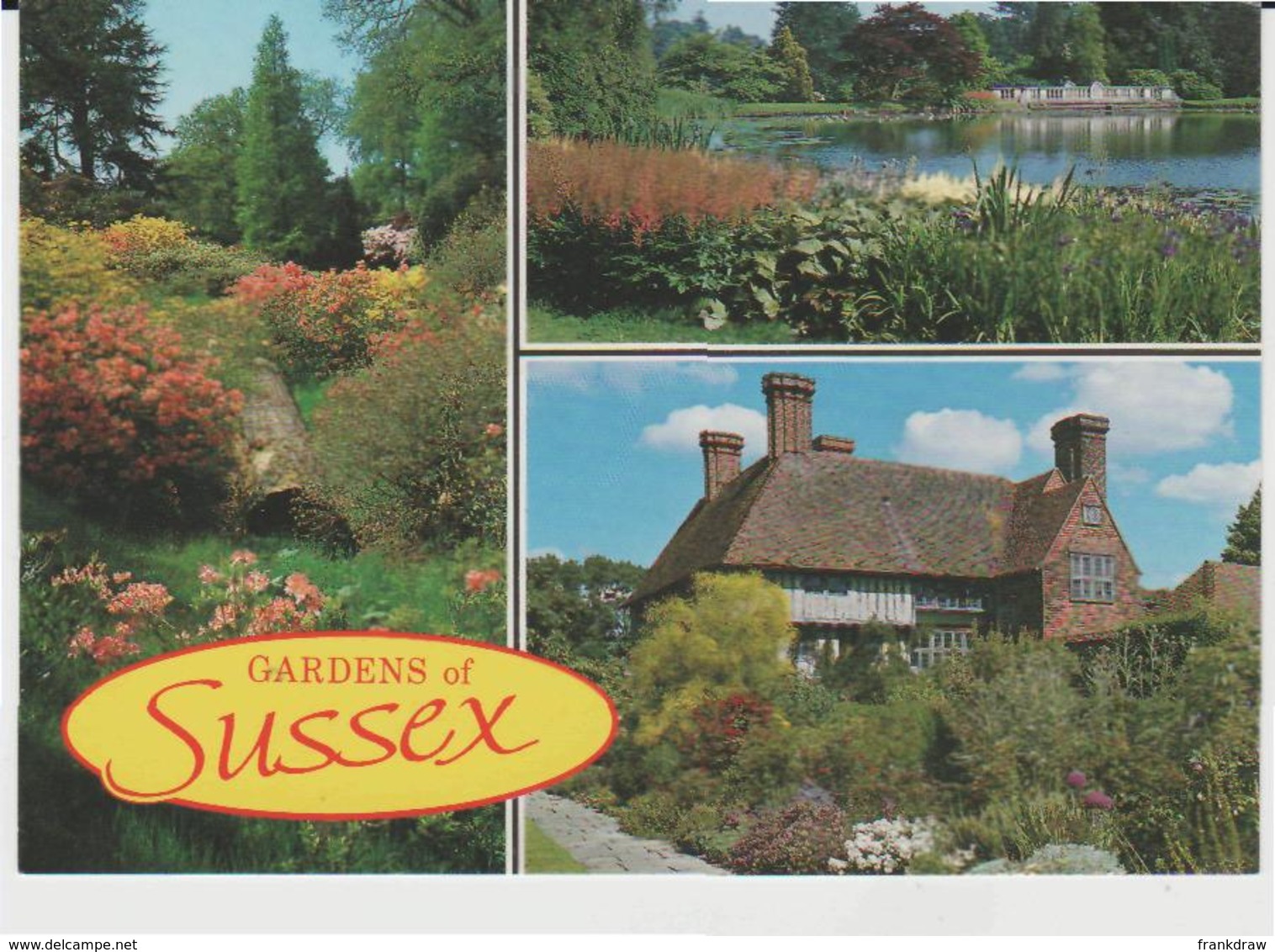 Postcard - Gardens Of Sussex - Three Views  - Unused Very Good - Unclassified