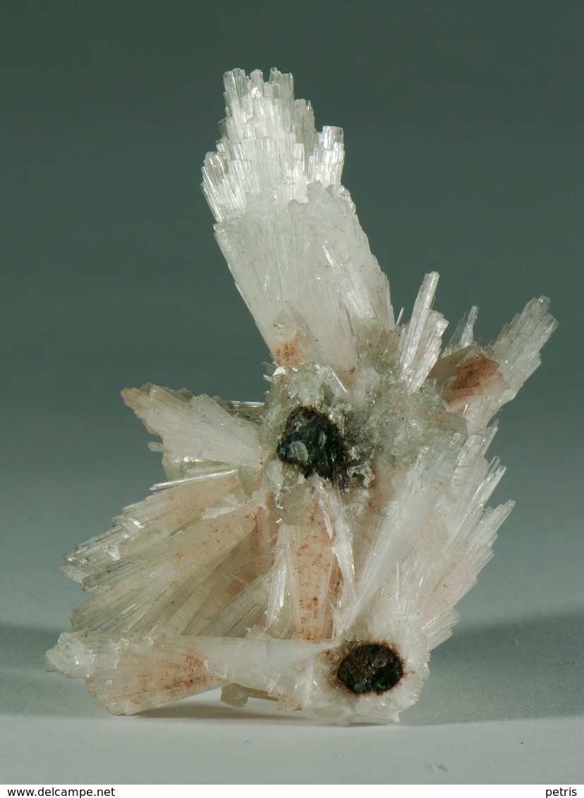 Mineral - Scolecite (Nasik, India) - Lot. 5 - Minéraux