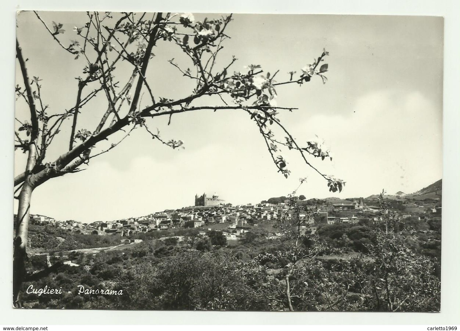 CUGLIERI - PANORAMA  VIAGGIATA FG - Oristano