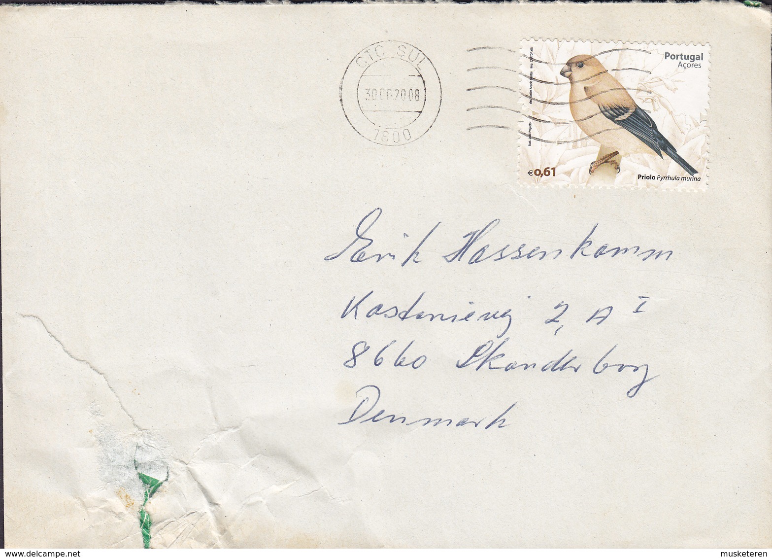 Portugal Acores SUL 2008 Cover Letra SKANDERBORG Denmark Bird Vogel Oiseau Priolo - Azores