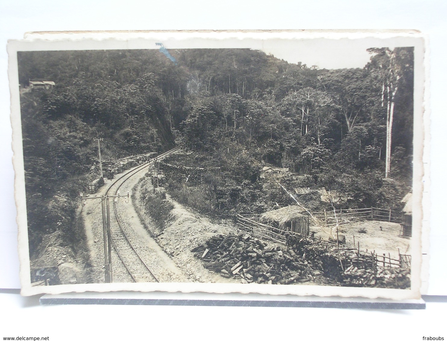 MOYEN CONGO  - A.E.F. - VOIE DU CONGO OCEAN DANS LA MAYUMBE - CHEMIN DE FER - COUPE DU BOIS - Congo Français