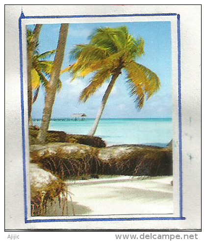 Lettre De L'ile De Majuro. Marshall Islands. Océan Pacifique, Adressée Au Mexique,avec Timbre à Date Arrivée - Marshall