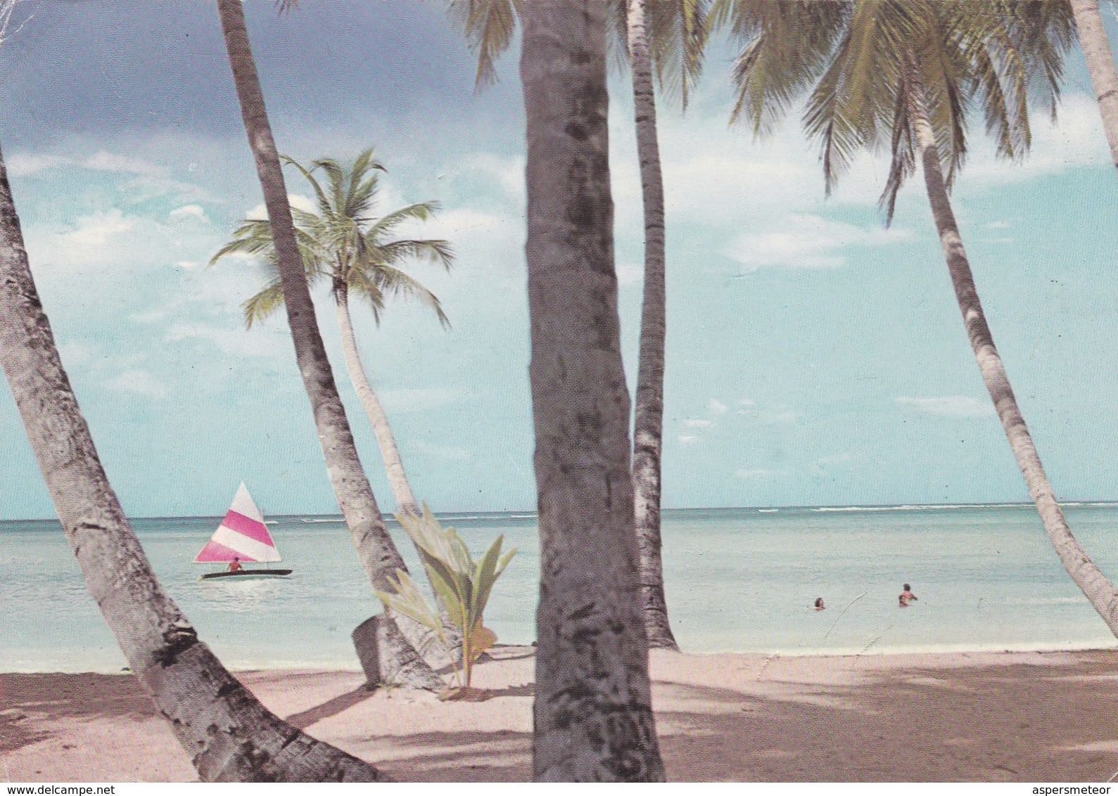 TRINIDAD & TOBAGO. COCONUT TREES, BEACH & SEA. NORMAN PARKINSON COLOR PHOTOGRAPH. CIRCULEE 1969 A BUENOS AIRES  - BLEUP - Trinidad