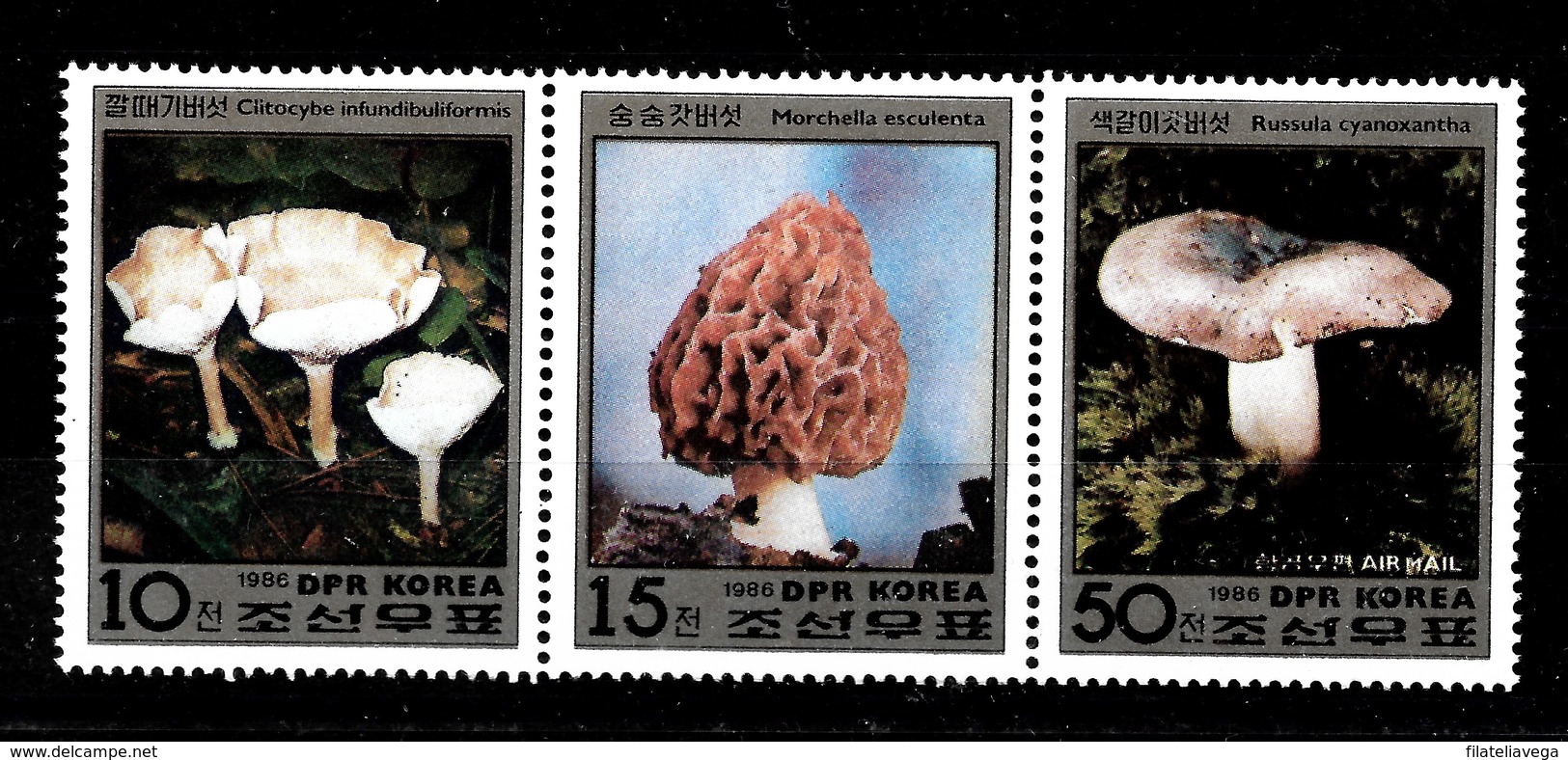 Serie De Corea Nº Yvert 2791/93 ** SETAS (MUSHROOMS) - Corea Del Norte