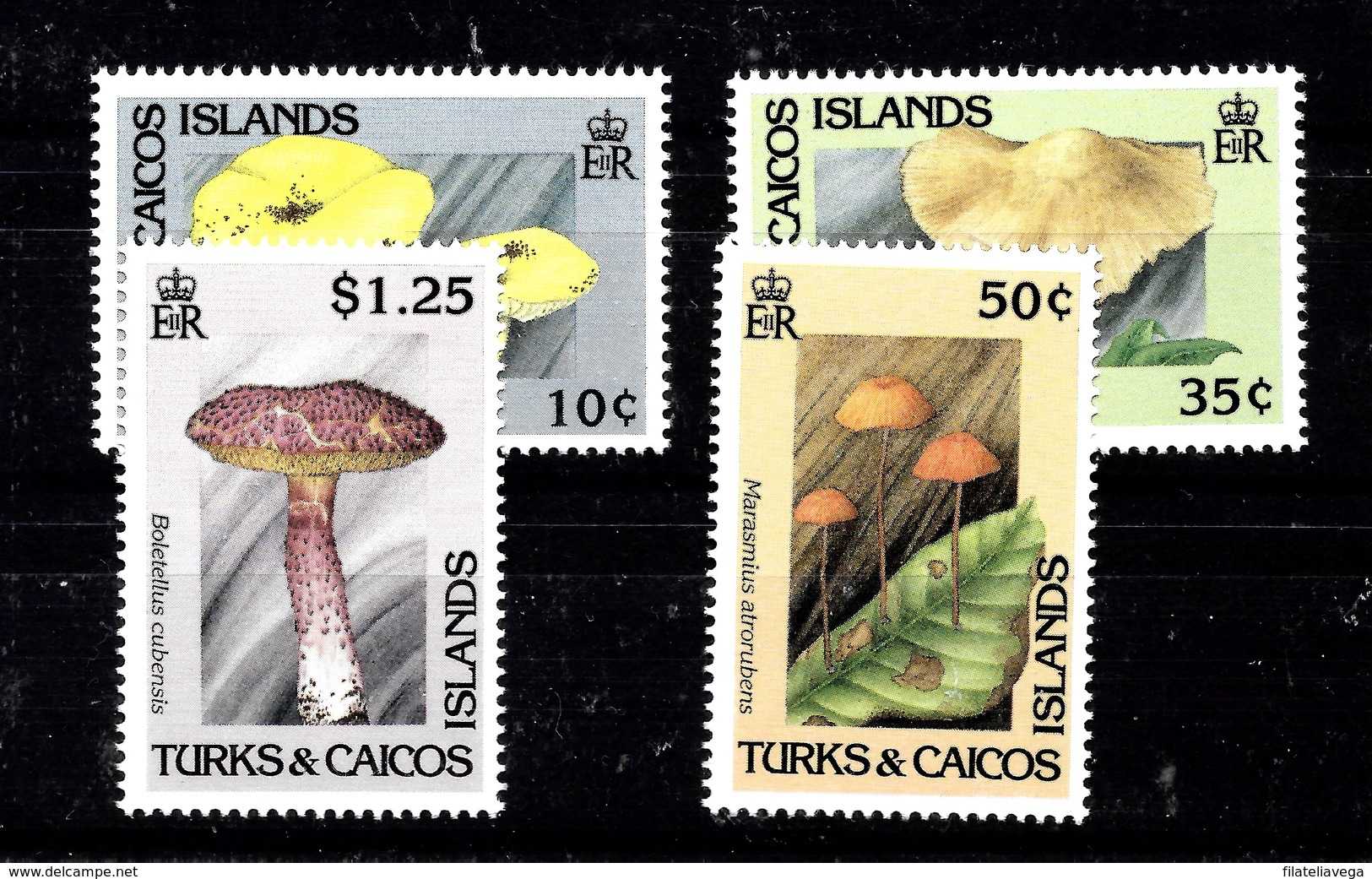 Serie De Turks Y Caicos Nº Yvert 1986/89 ** SETAS (MUSHROOMS) - Turks & Caicos (I. Turques Et Caïques)