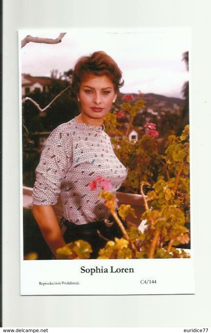 SOPHIA LOREN - Film Star Pin Up PHOTO POSTCARD - C4-144 Swiftsure Postcard - Artistas