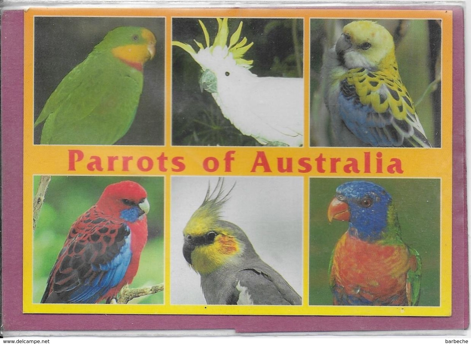 PARROTS OF  AUSTRALIA - Autres & Non Classés
