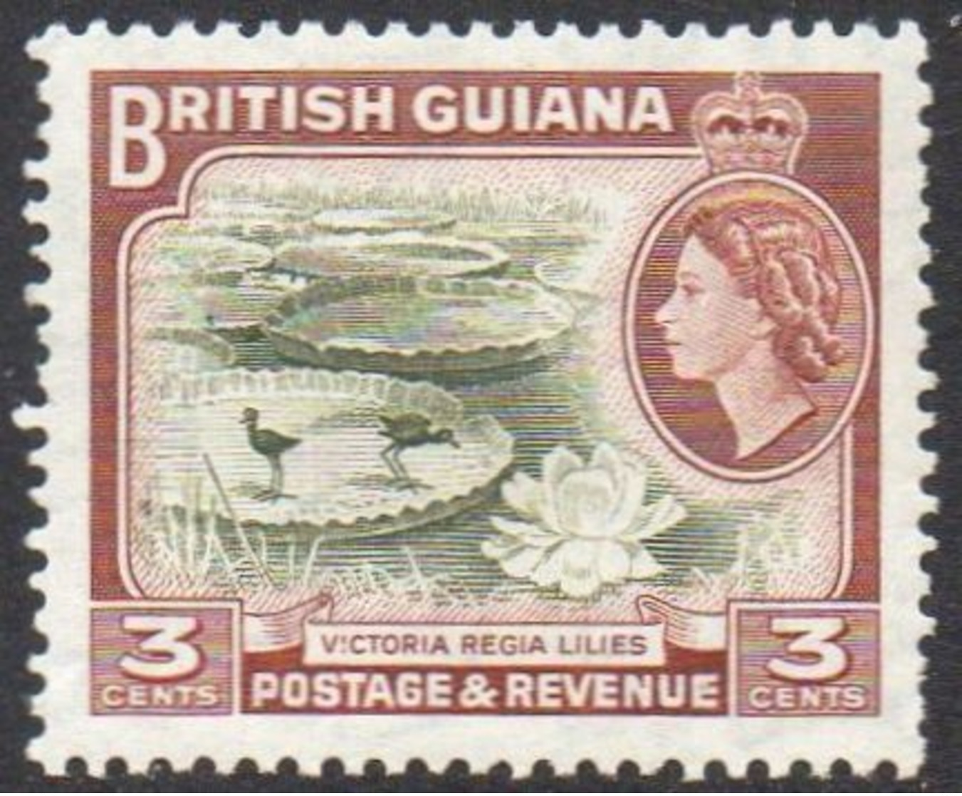 BRITISH GUIANA 1954 3c Waterlilies MH - British Guiana (...-1966)