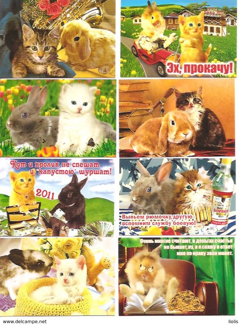 8 Pocket Calendars  CATS  2011  Ukraina - Petit Format : 2001-...