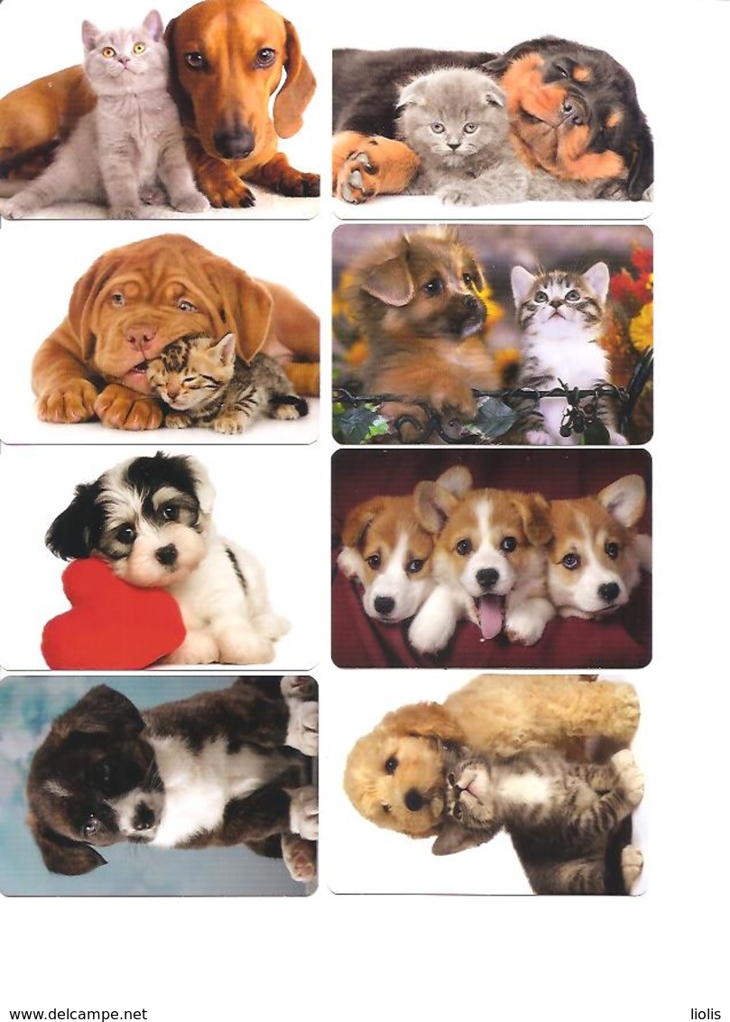 8 Pocket Calendars  CATS,DOGS  2019  Lithuania - Petit Format : 2001-...