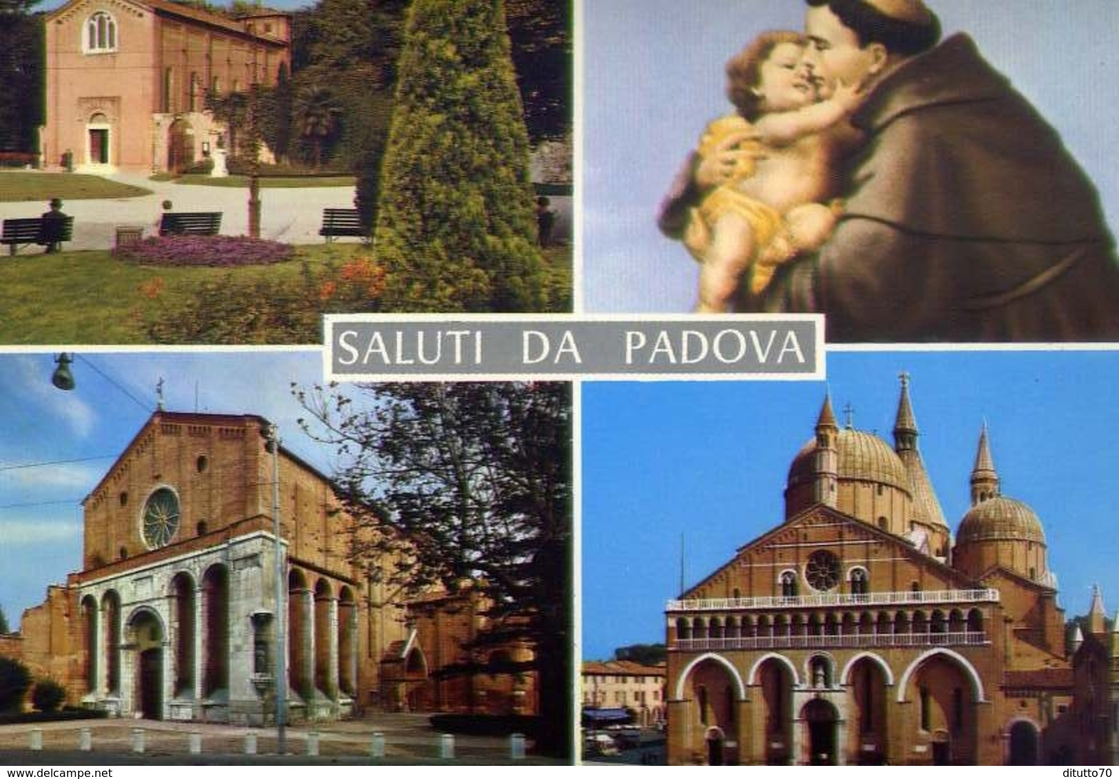 Saluti Da Padova - 938 - Formato Grande Non Viaggiata – E 10 - Padova