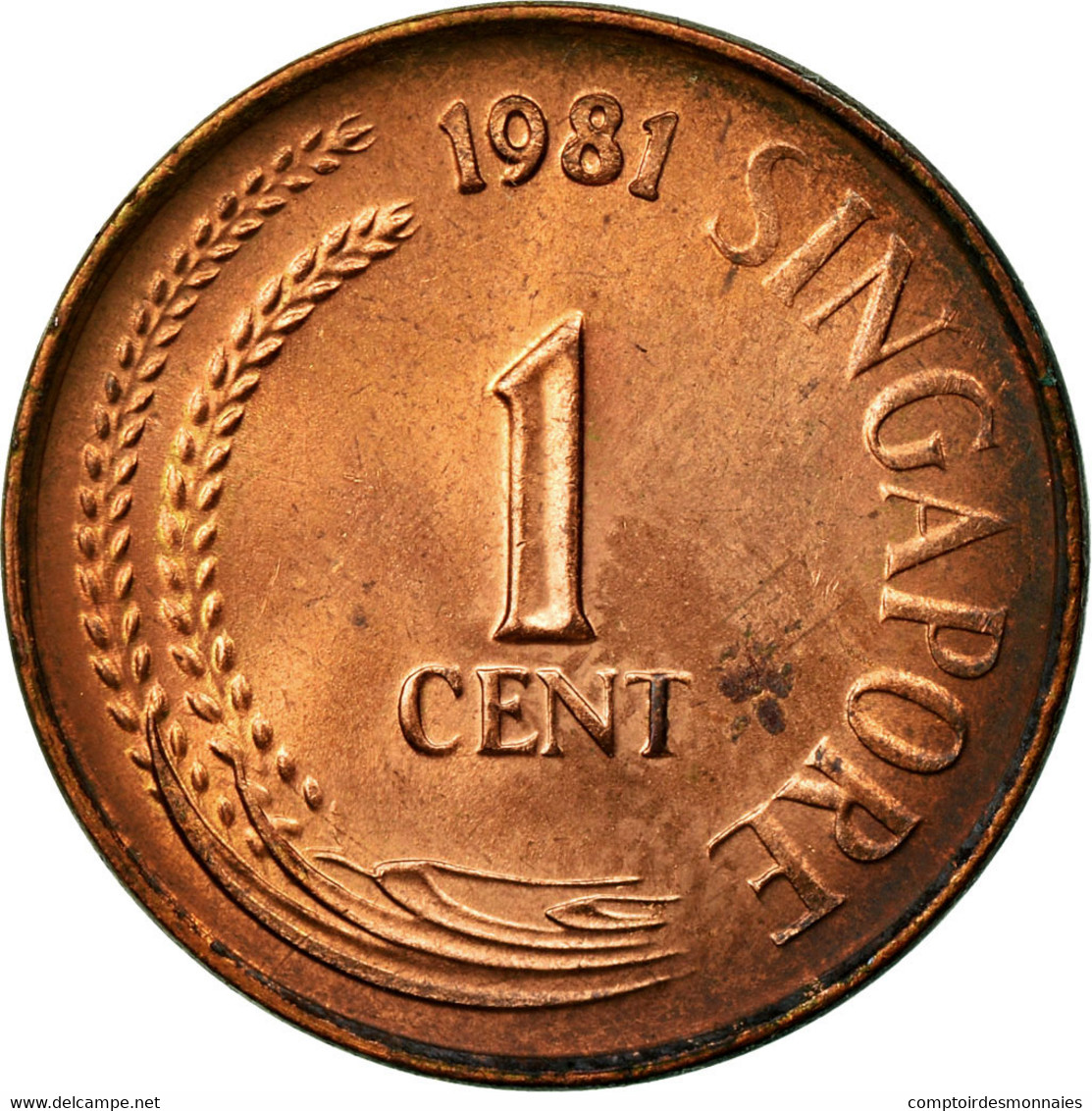 Monnaie, Singapour, Cent, 1981, TTB, Copper Clad Steel, KM:1a - Singapour