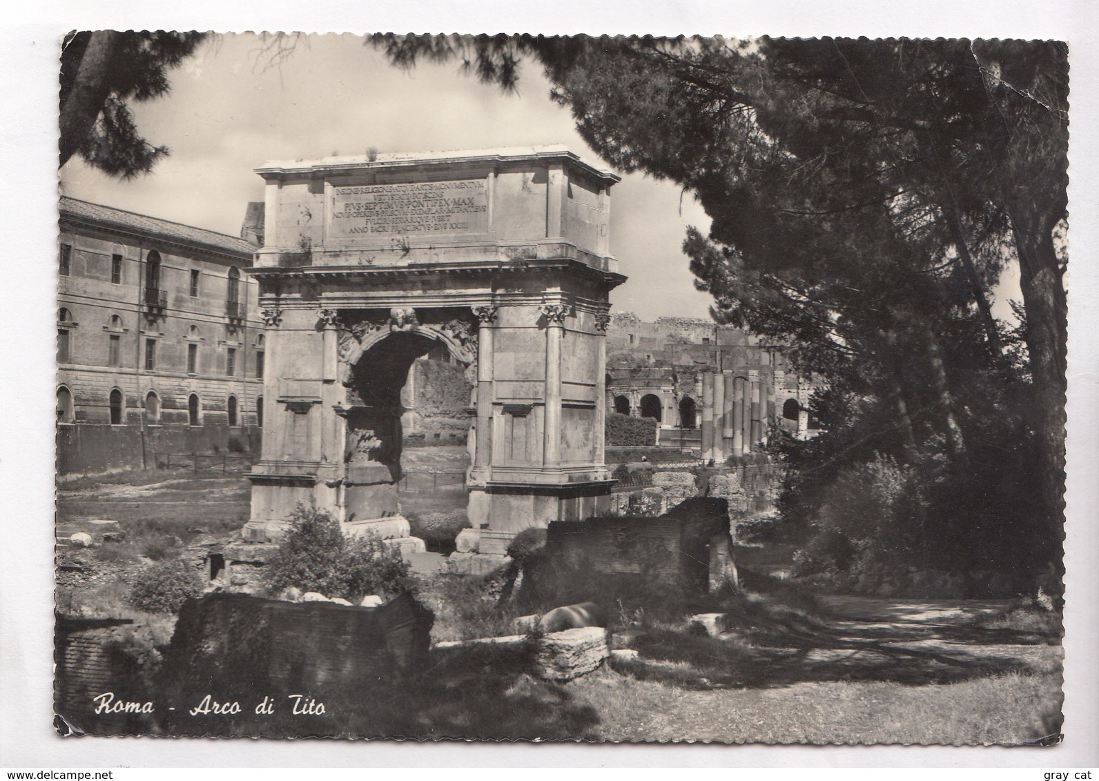 Rome, Roma, Arco Di Tito, Titus Arch, Used Real Photo, Vera Fotografia, Postcard [22735] - Autres Monuments, édifices