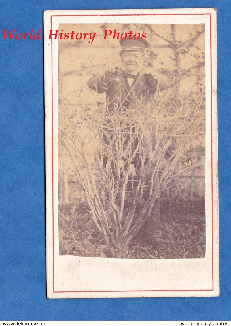 2 Photos Anciennes CDV Vers 1870 - Homme Jardinier ? Herboriste ? Alchimiste ? à Identifier - Arbre Tree Métier Plante - Anciennes (Av. 1900)