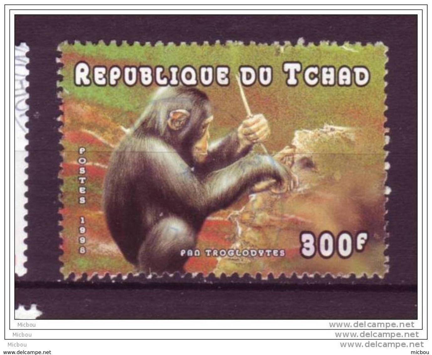 Tchad, Chad, Singe, Monkey, Fourmi, Ant - Singes