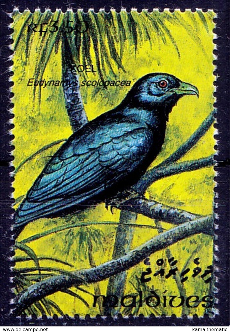Koel, Birds, Brood Parasites Laying Their Eggs In Others Nests, Maldives 1993 MNH (D3n) - Coucous, Touracos