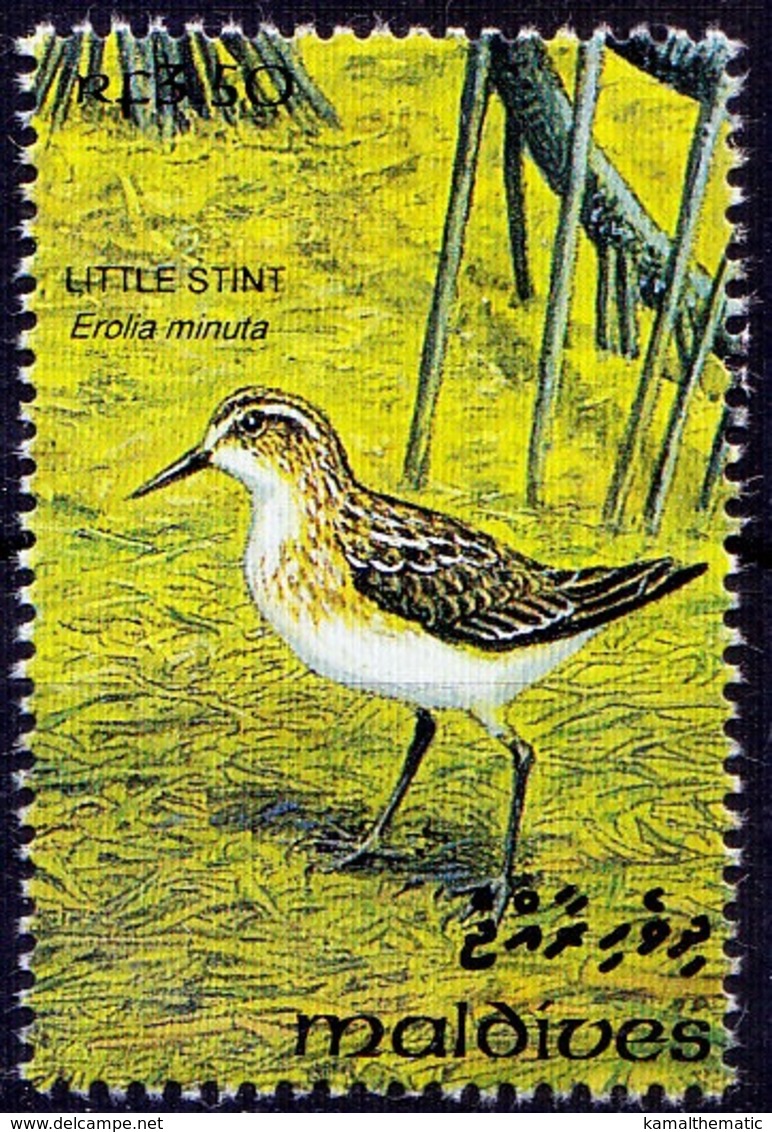 Little Stint Birds, Maldives 1993 MNH (E1n) - Albatros