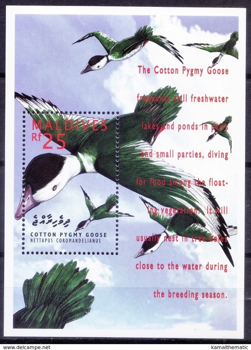 Cotton Pygmy Goose, Water Birds, Maldives 1995 MNH MS (D2n) - Canards