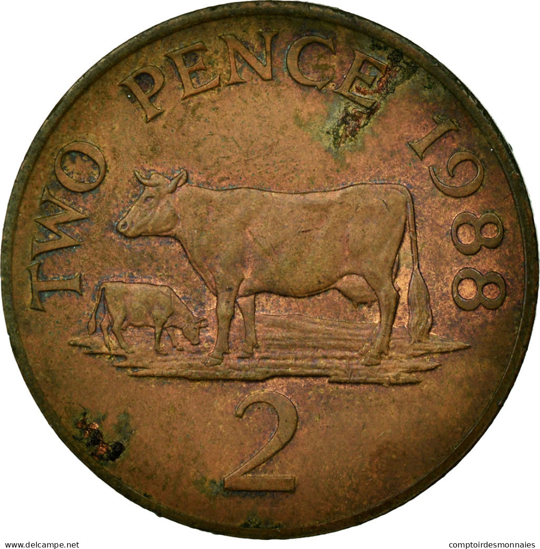 Monnaie, Guernsey, Elizabeth II, 2 Pence, 1988, TTB, Bronze, KM:41 - Guernsey