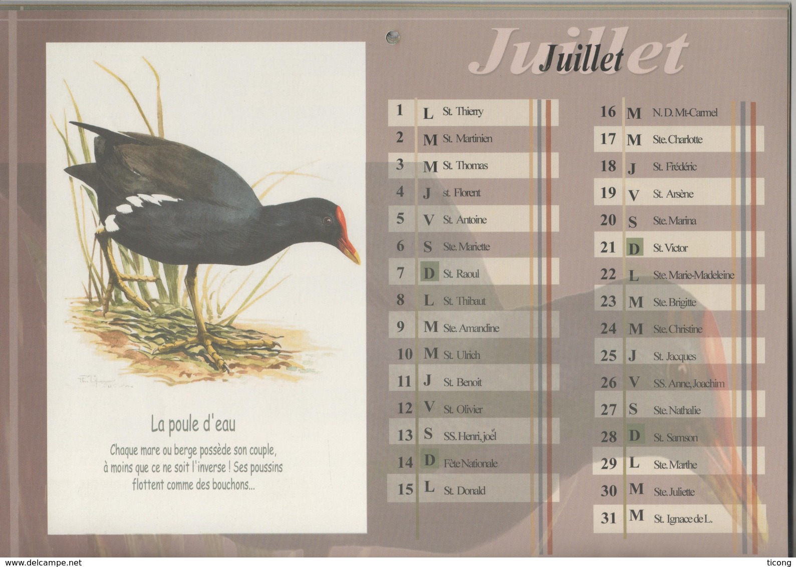 CALENDRIER THEME OISEAUX DES HAUTS DE FRANCE - TEXTE ET ILLUSTRATIONS DE PHILIPPE VANARDOIS ( WASQUEHAL 2002 ) A VOIR - Big : 2001-...