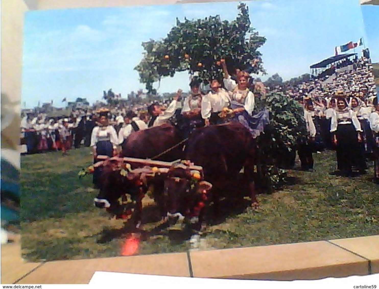 COSTUMI SARDI MILIS SCARRO CON  BUOI CAVALCATA SARDA   VB1963  HA7373 - Nuoro