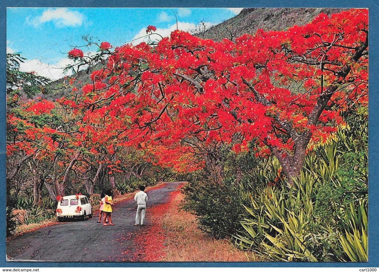 MAURITIUS LES FLAMBOYANT 1989 - Mauritius