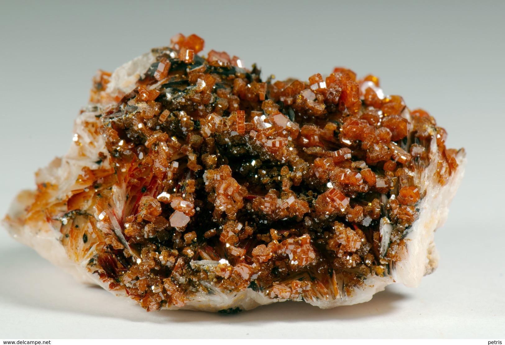 Mineral - Vanadinite Su Barite (Monastir, Marocco) - Lot. 5 - Minerals