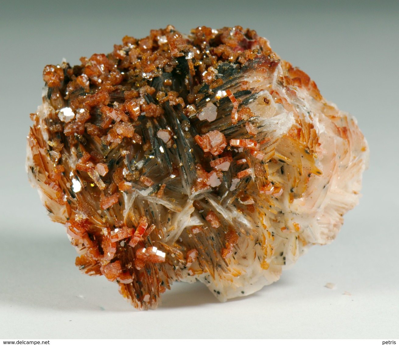 Mineral - Vanadinite Su Barite (Monastir, Marocco) - Lot. 5 - Minerals