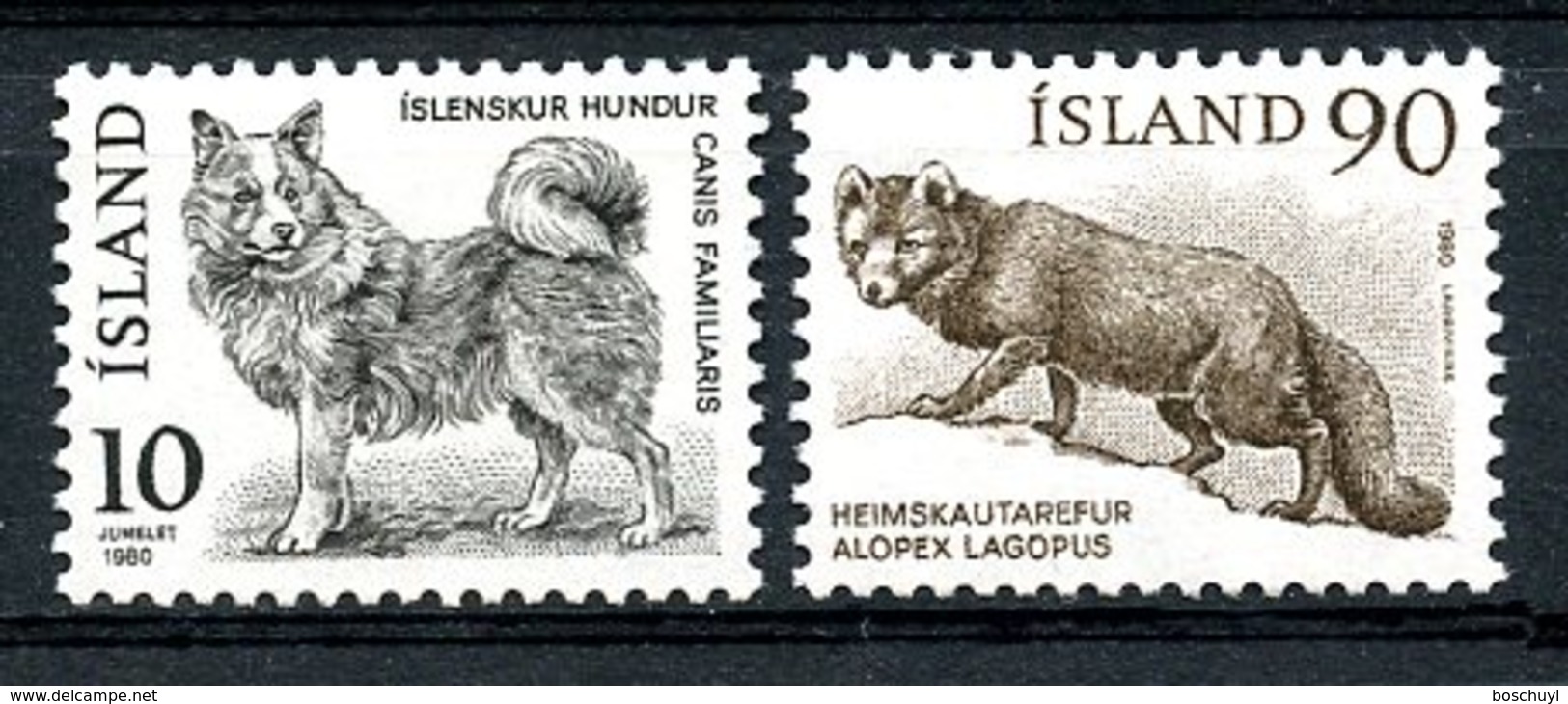Iceland, 1980, Dog, Polar Fox, Animals, Fauna, MNH, Michel 550-551 - Autres & Non Classés