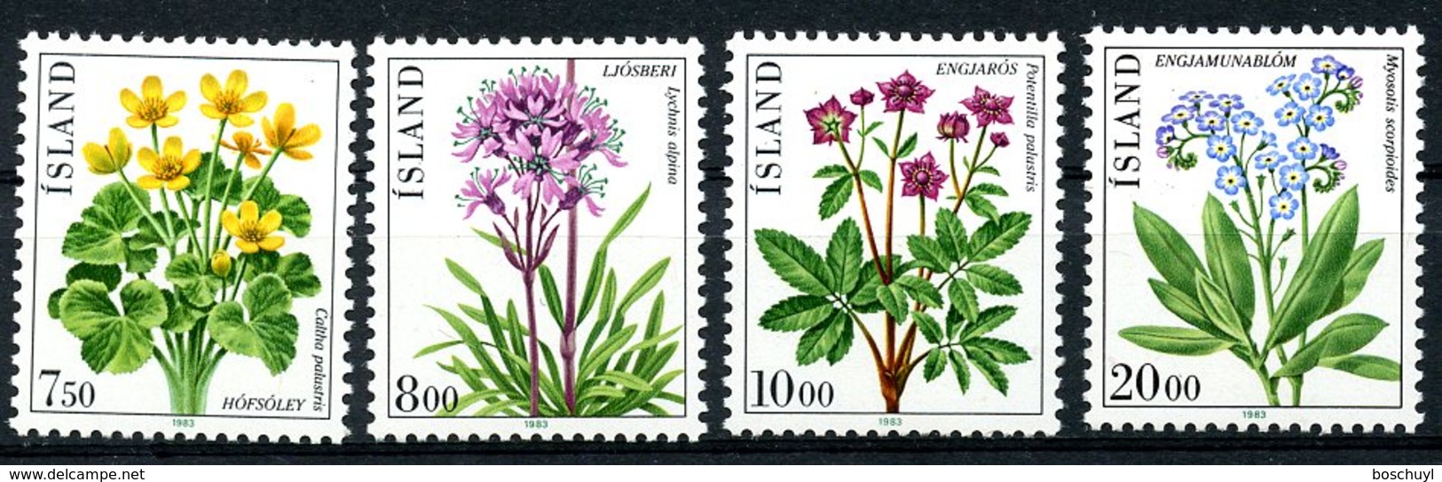 Iceland, 1983, Flowers, Flora, MNH, Michel 592-595 - Autres & Non Classés