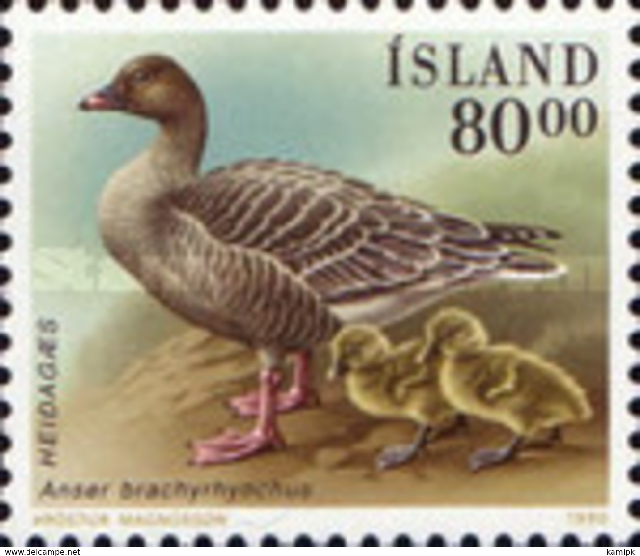 USED STAMPS Iceland - Birds - Ducks	 - 1990 - Used Stamps