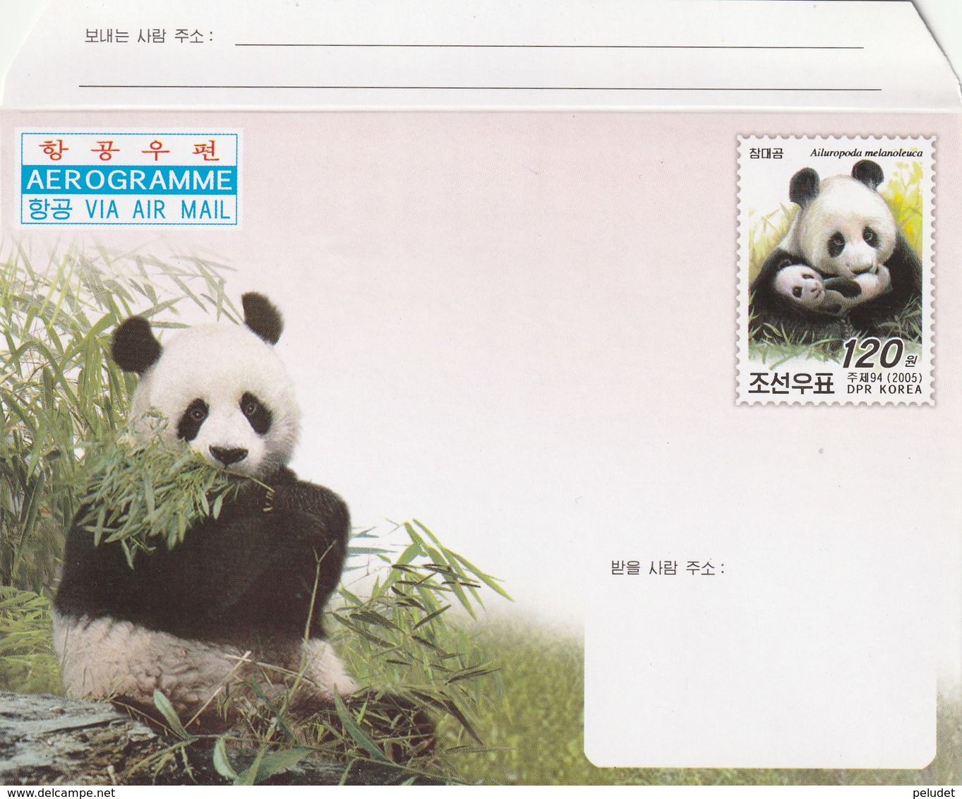Aerogramme - 2005 Giant Panda - Corea Del Norte