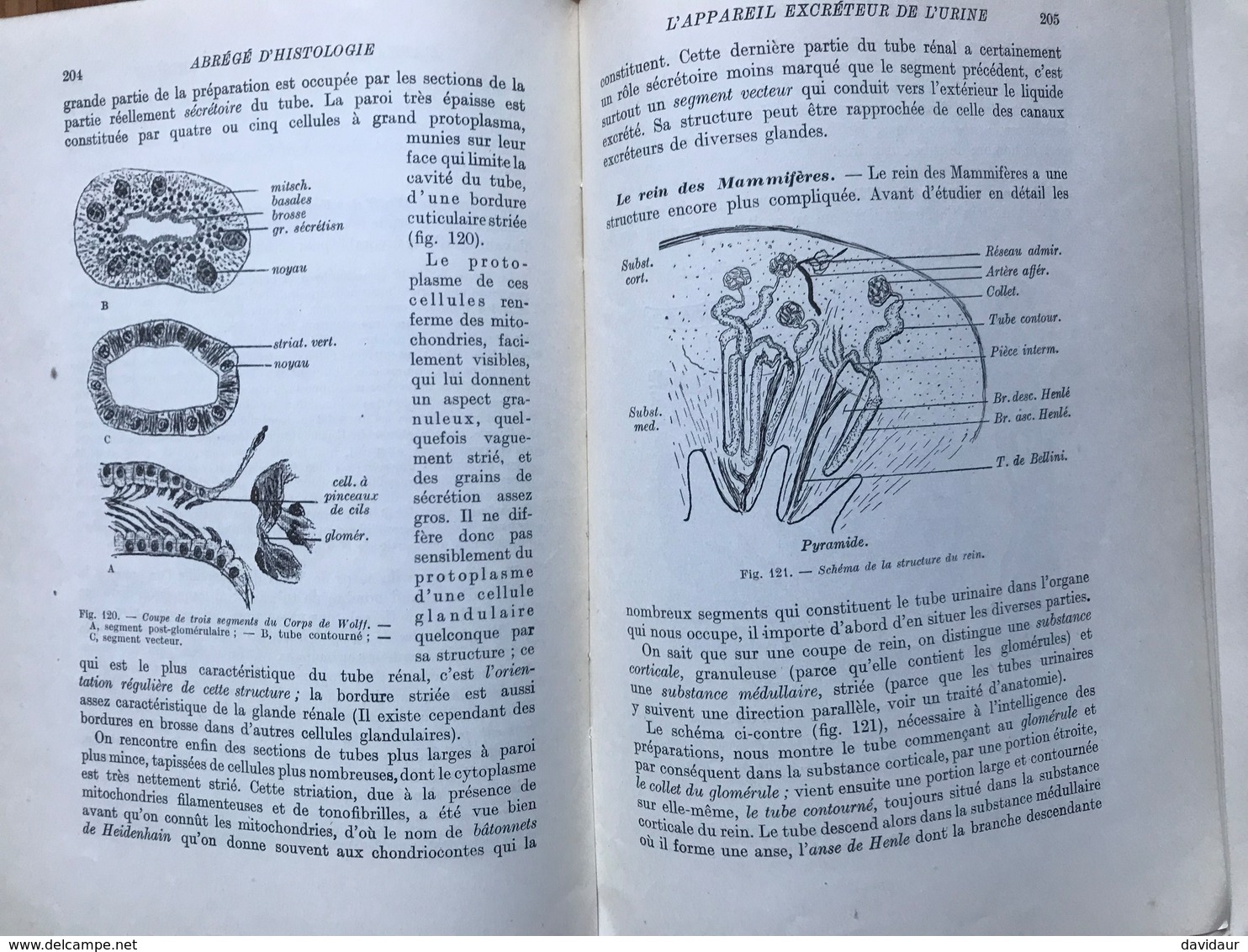 Bulliard Et Champy - Abrégé D'histologie - Vingt Leçons Avec Notions De Technique - Sciences